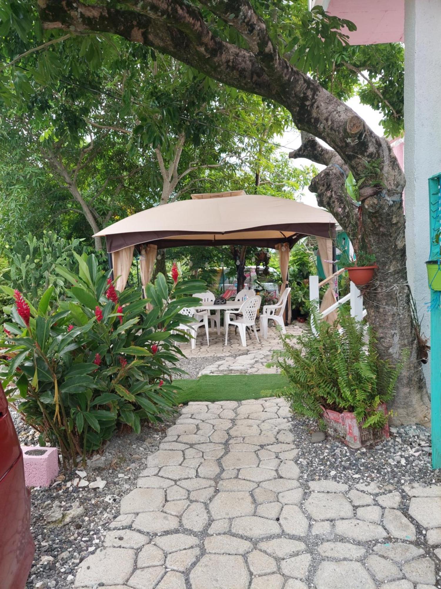 Alex'S Place - Tim Pappies Port Antonio Luaran gambar