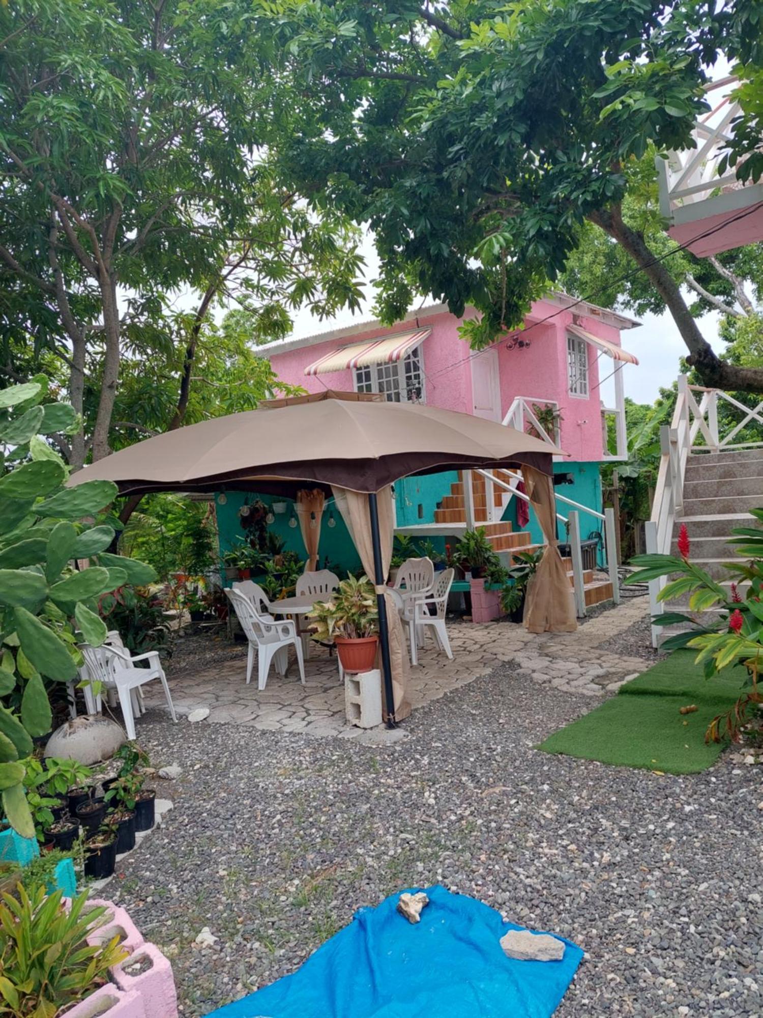 Alex'S Place - Tim Pappies Port Antonio Luaran gambar