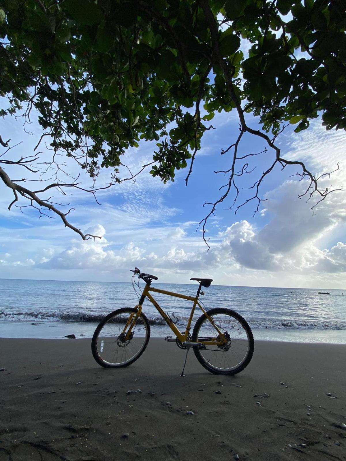 Alex'S Place - Tim Pappies Port Antonio Luaran gambar